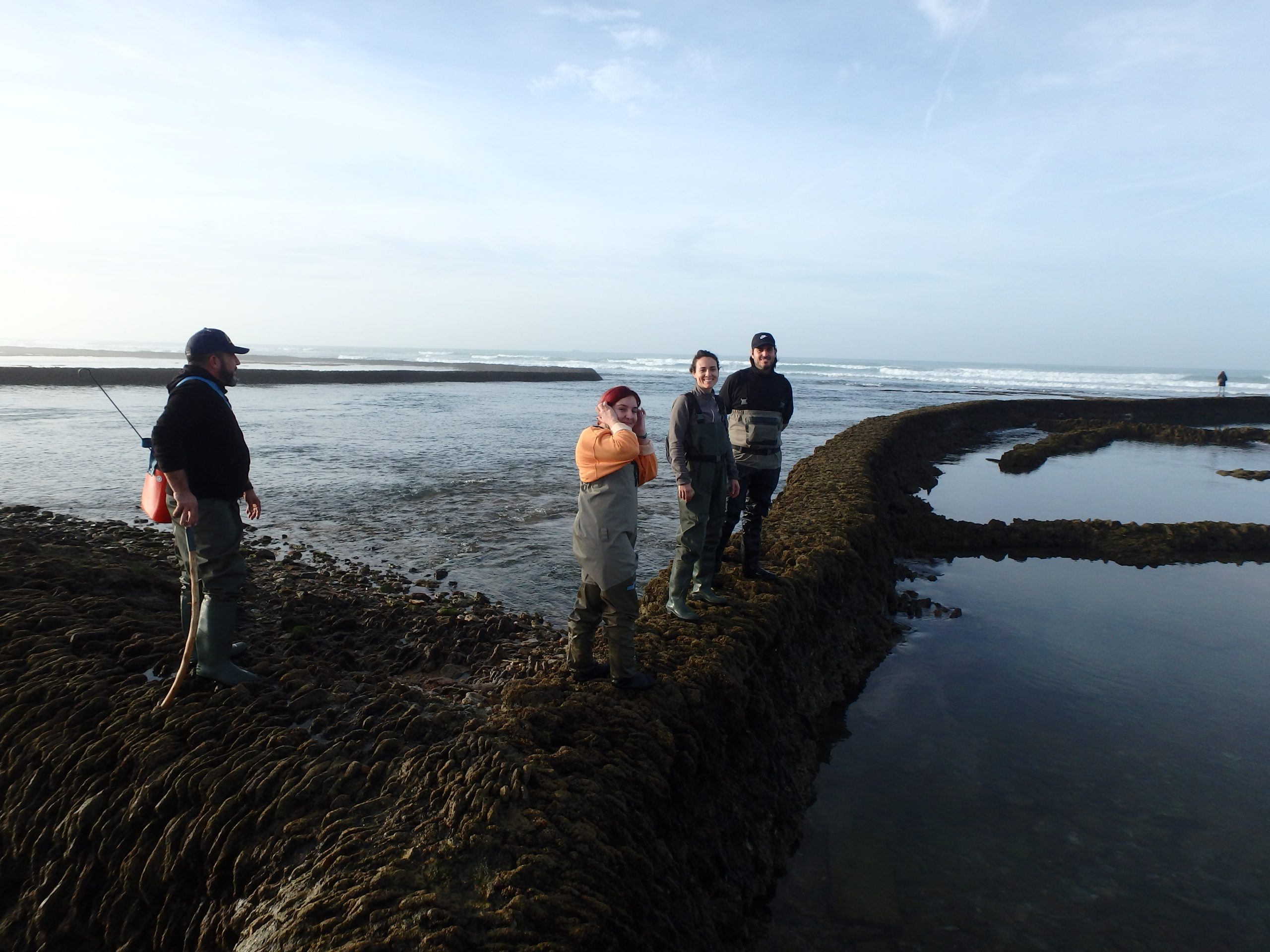 Visita a los corrales de Rota para la restauración de las praderas de Cymodocea nodosa